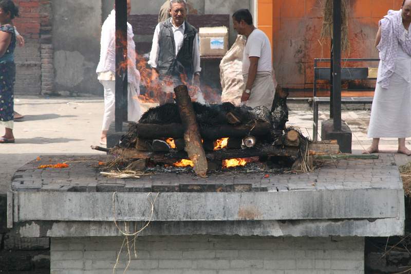 India & Nepal 2011 - 0240